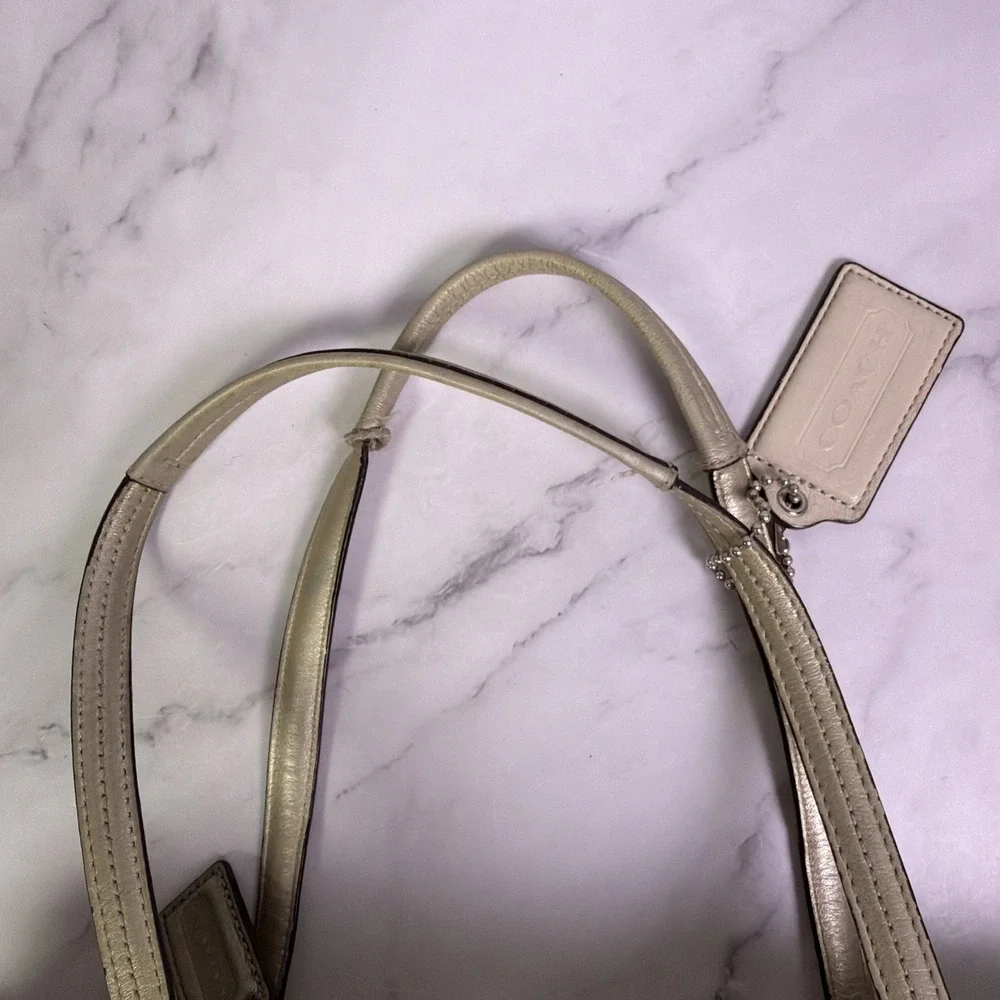 Coach Chelsea Leather Stripe Platinum Charlie ToteBag Purse J1126‎ 18962